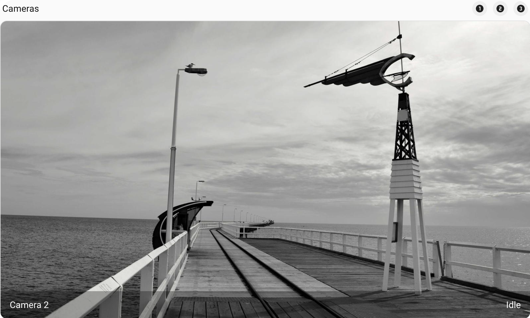 picture-entity example