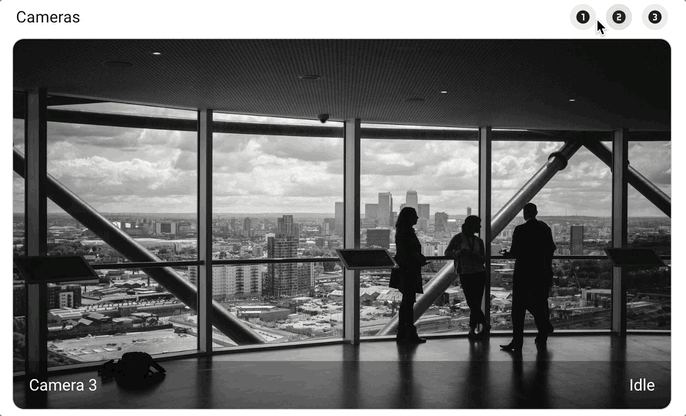 picture-entity example