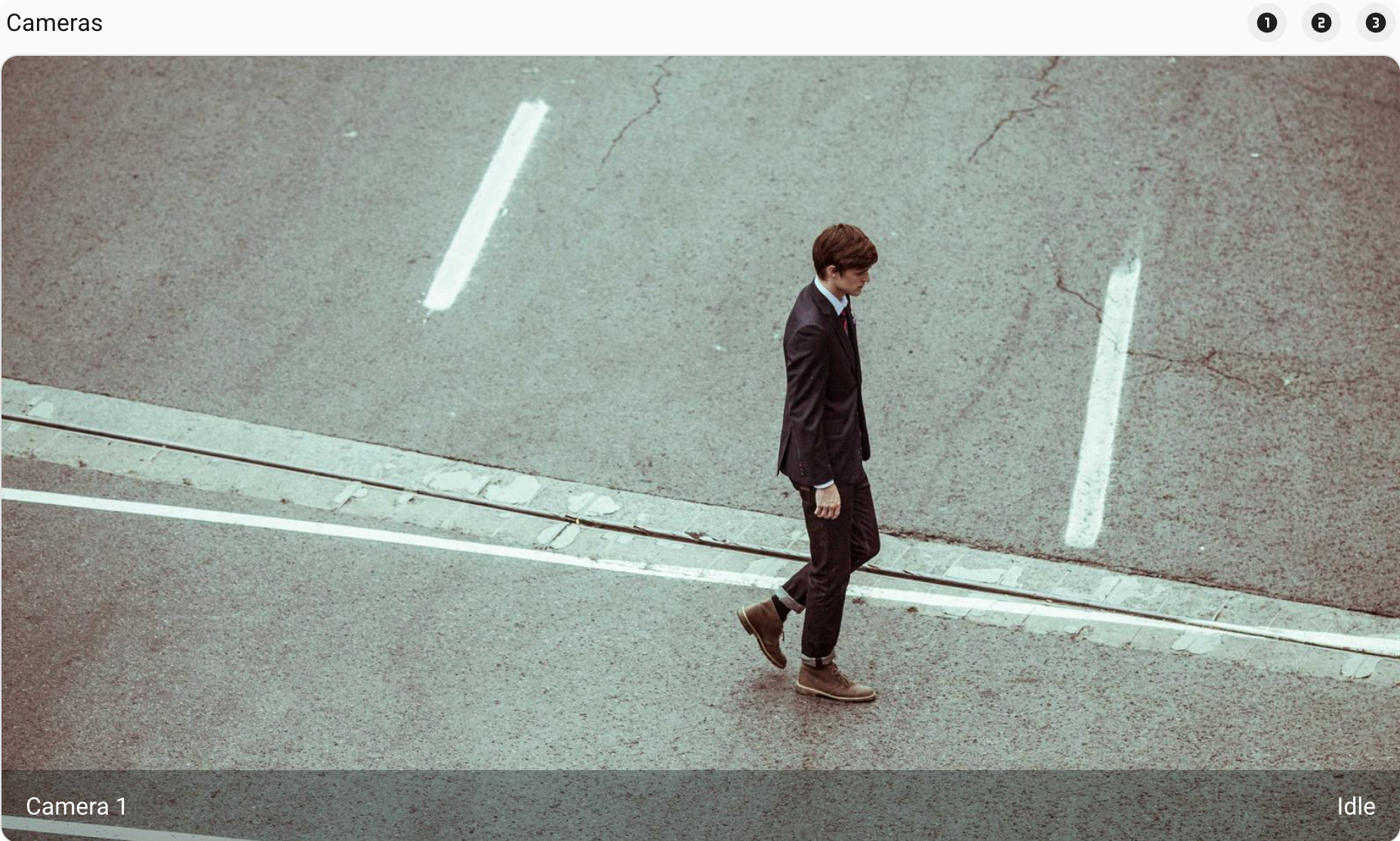 picture-entity example